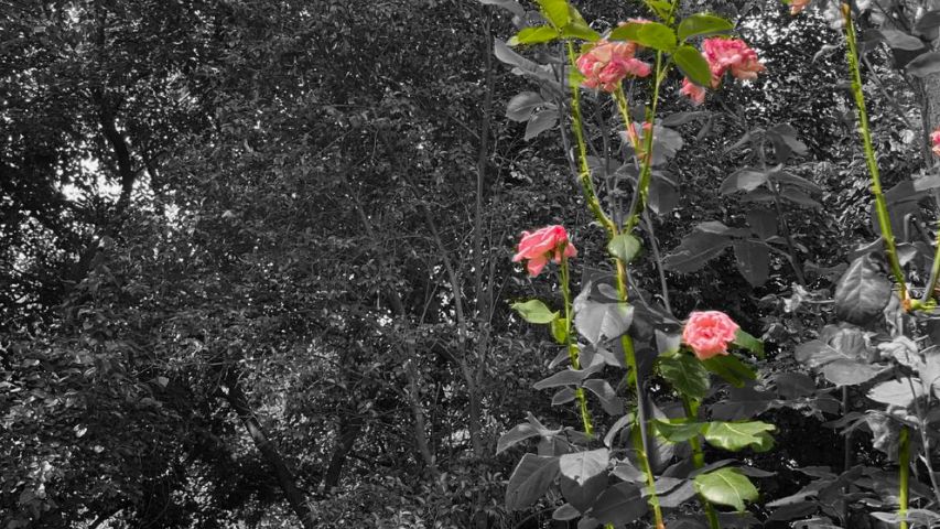 Memoria Sostenbilidad_5 Social