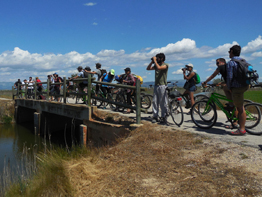 grupo de personas cruzando puente de madera en bicicletas