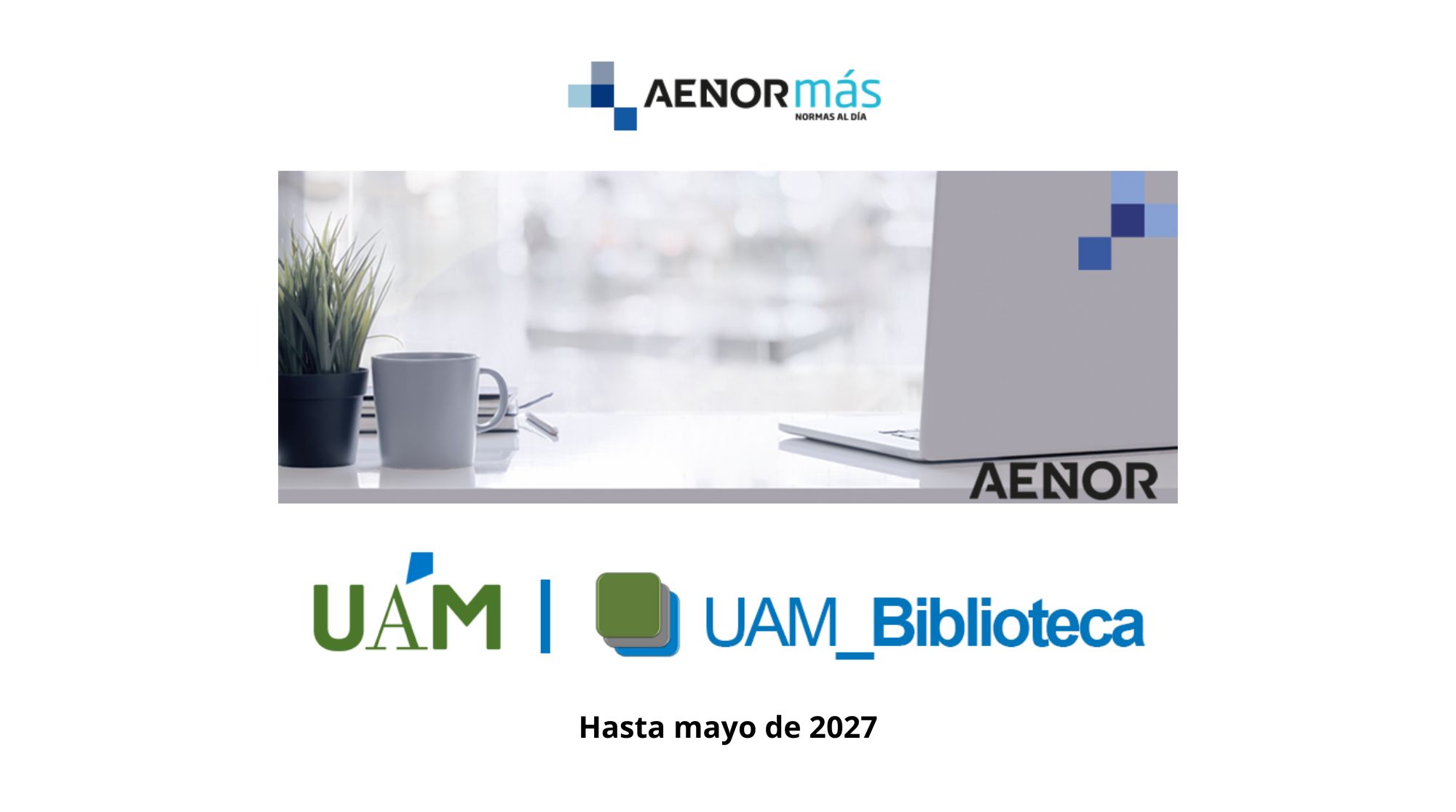 Aenormas