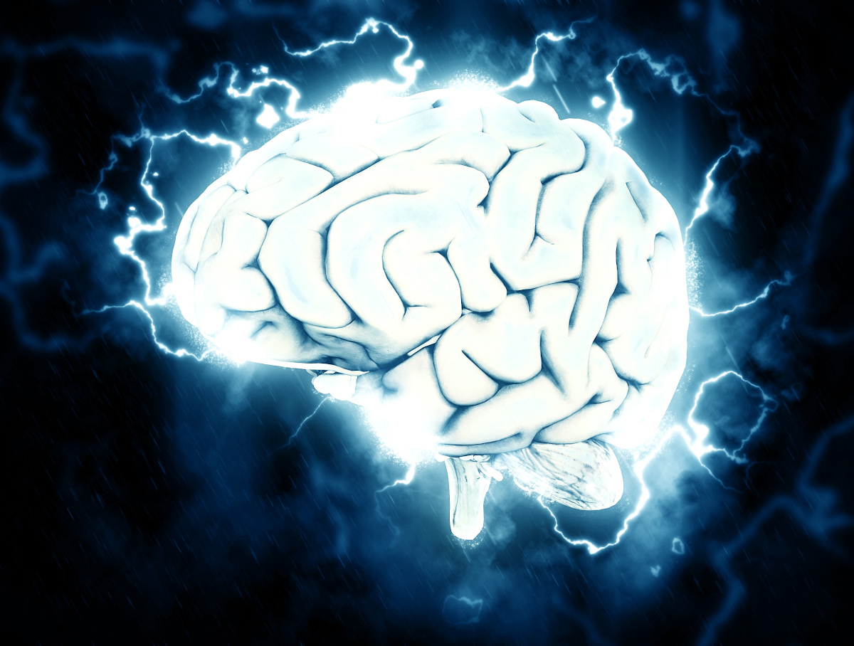 cerebro en blanco