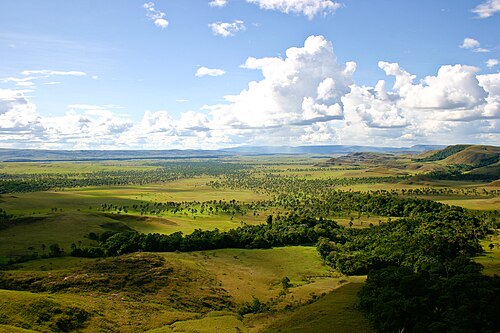 la Gran Sabana, en Venezuela