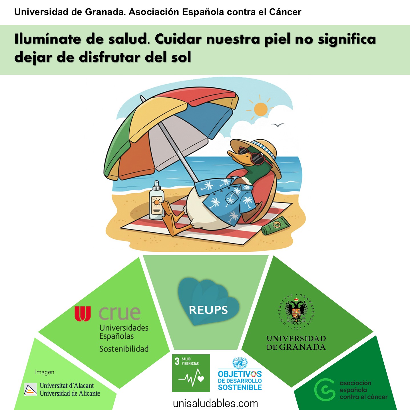 pato sobre infografia