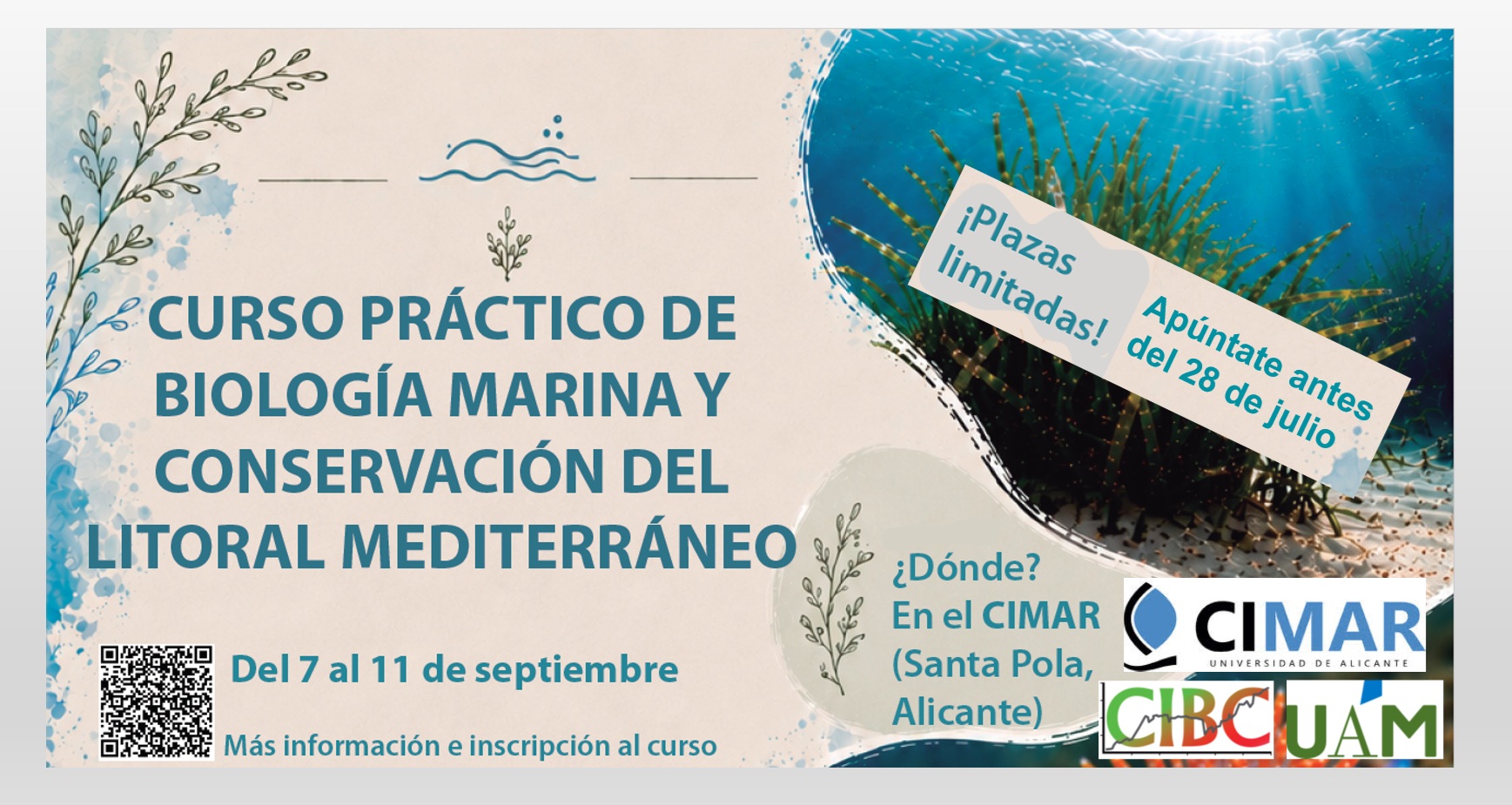 Imagen del cartel anunciador, con fecha y lugar celebración curso