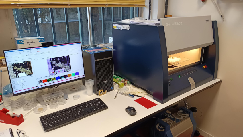 Espectrómetro de µ-XRF M4 Tornado de Bruker