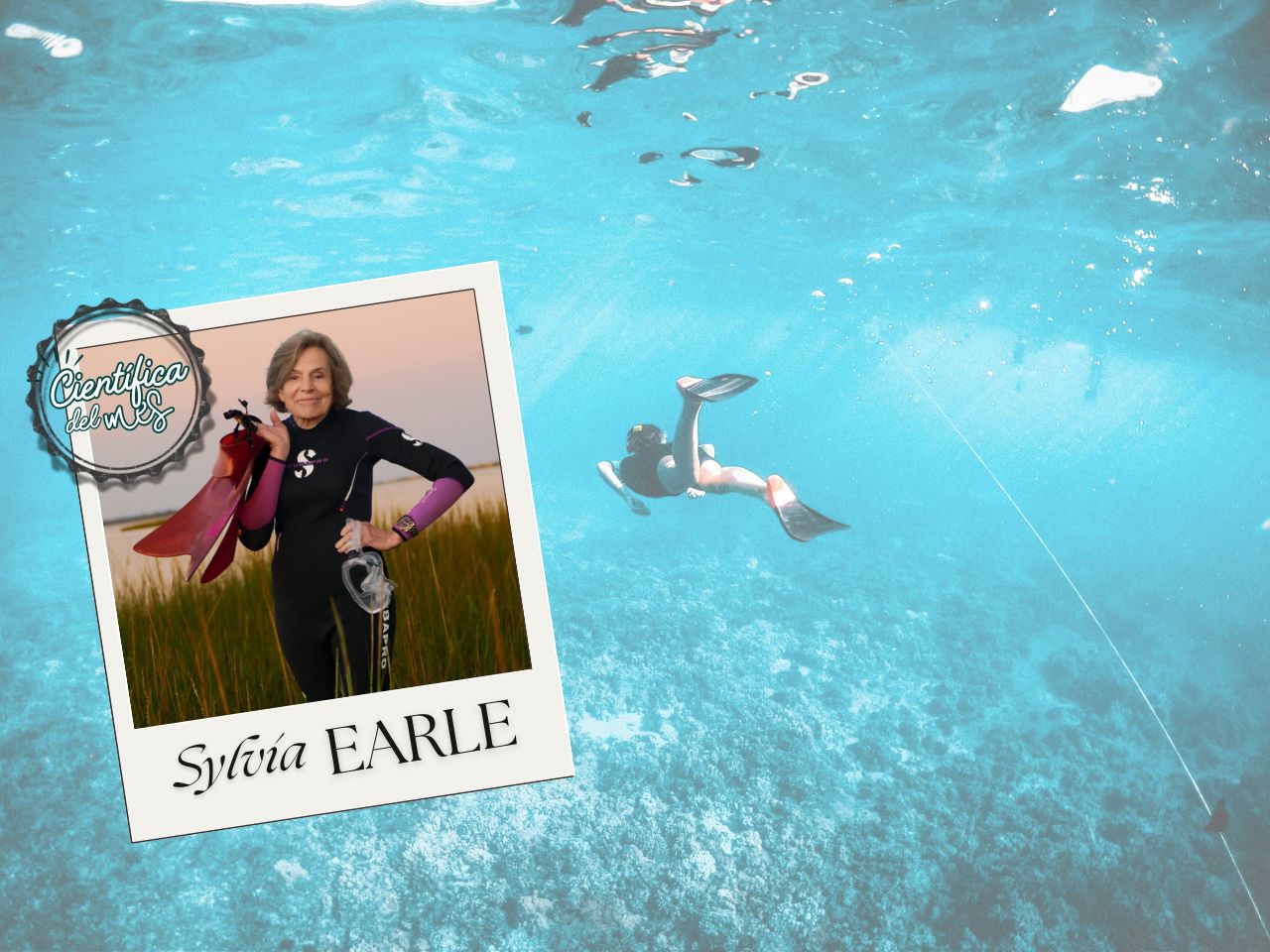 Sylvia Earle