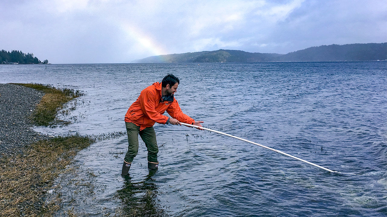 Muestreo de ADN ambiental en un ecosistema acuático / UAM