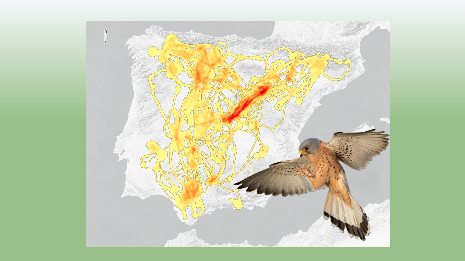 Mapa de la Península Ibérica con los corredpores de primilla decritos en el artículo