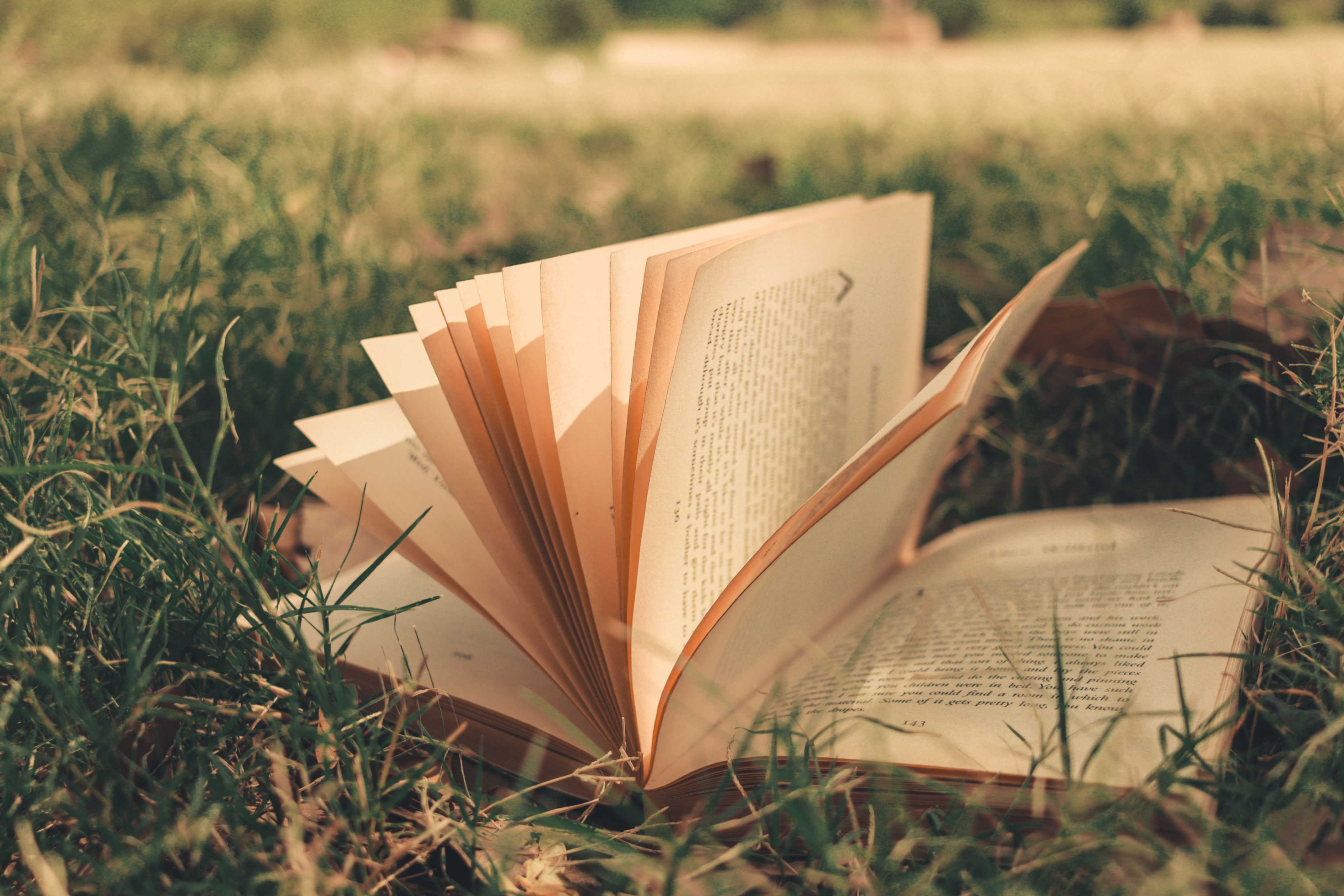 Kit literario de supervivencia
